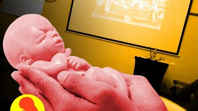 aborcja Fundacja Pro Prawo do życia