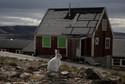 Ostatnie dni lata w wiosce Ittoqqortoormiit na Grenlandii