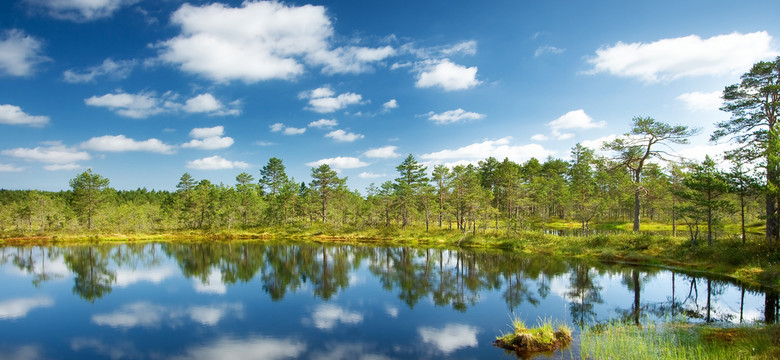 Park Narodowy Lahemaa - dziewicze lasy, mokradła i zabytki historii