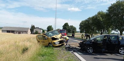 Starsze małżeństwo jechało z 6-letnią dziewczynką. Z autem stało się coś strasznego. Dziecko zginęło na miejscu