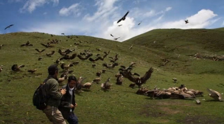 Tibetben a keselyűk tépik szét a holttesteket/Fotó:Youtube