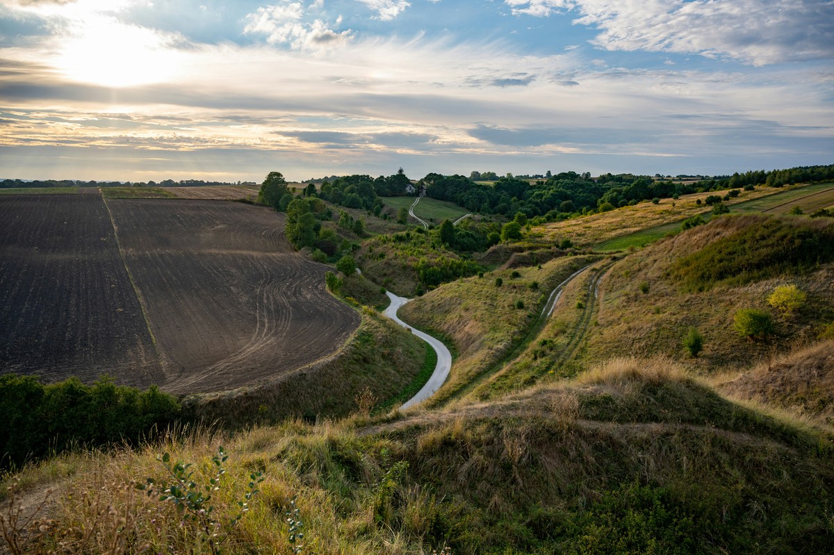 Rolnik na Mazurach odkrył skarb. "Mąż odnawiał łąkę. Chciał pozbierać wyorane kamienie"