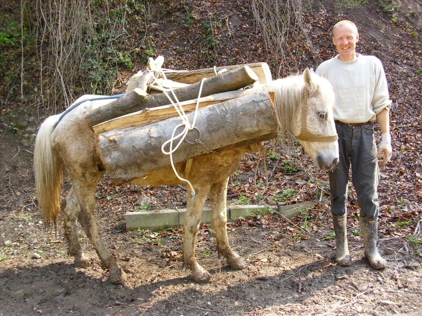Na konja po četvrt kubika drva