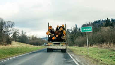 Greenpeace ocenia programy wyborcze. "Antyekologiczna utopia, czyli program Konfederacji"