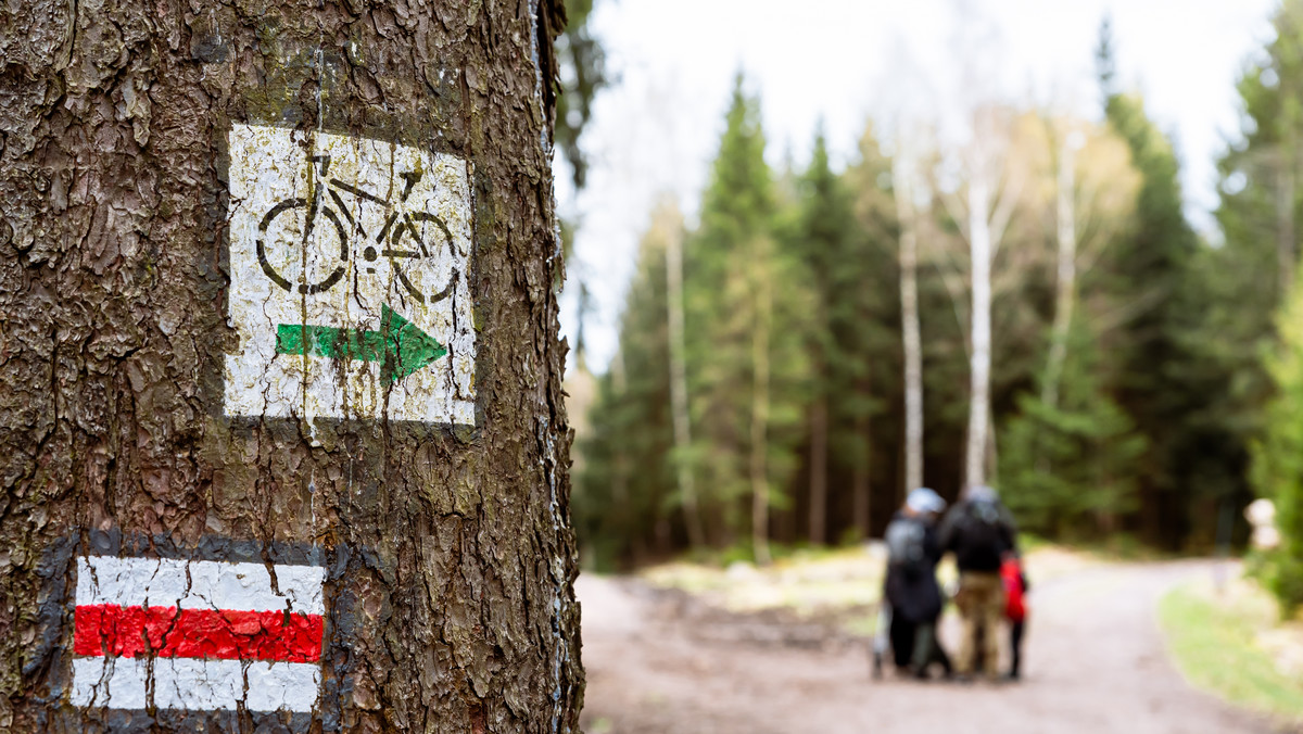 Czy wiesz, co oznaczają kolory szlaków górskich?