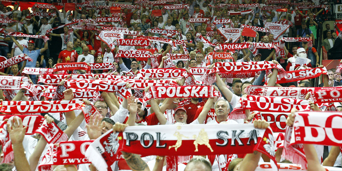 Polska siatkówka