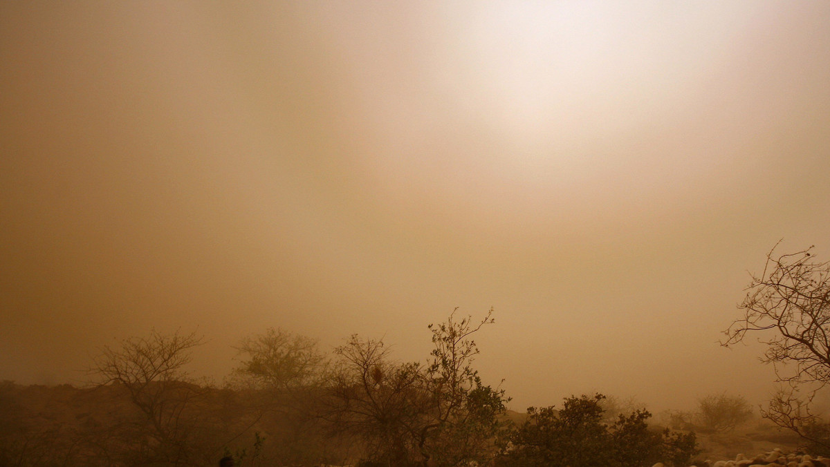 Burza piaskowa i saharyjski pył. Prognoza dla Polski