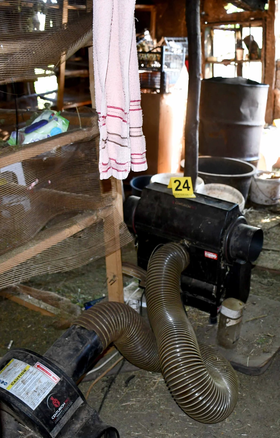 Pronađena marihuana u Vranju 