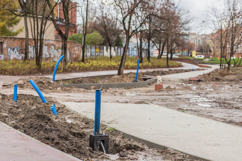 Powstaje park w zaniedbanym Starym Korycie Warty