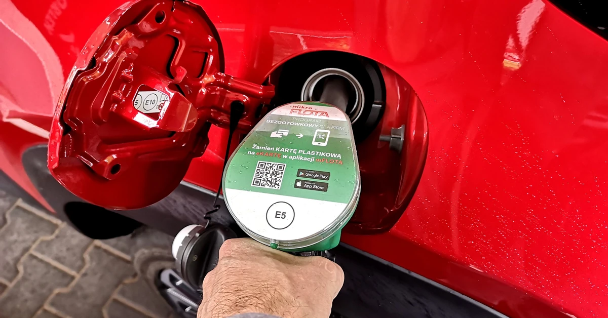 Zmiana cen paliw od poniedziałku. Tyle zapłacisz za benzynę 95, LPG i ON od 2 czerwca