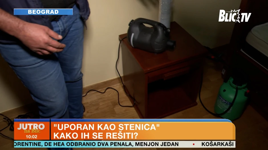 Stenice, čišćenje insekata