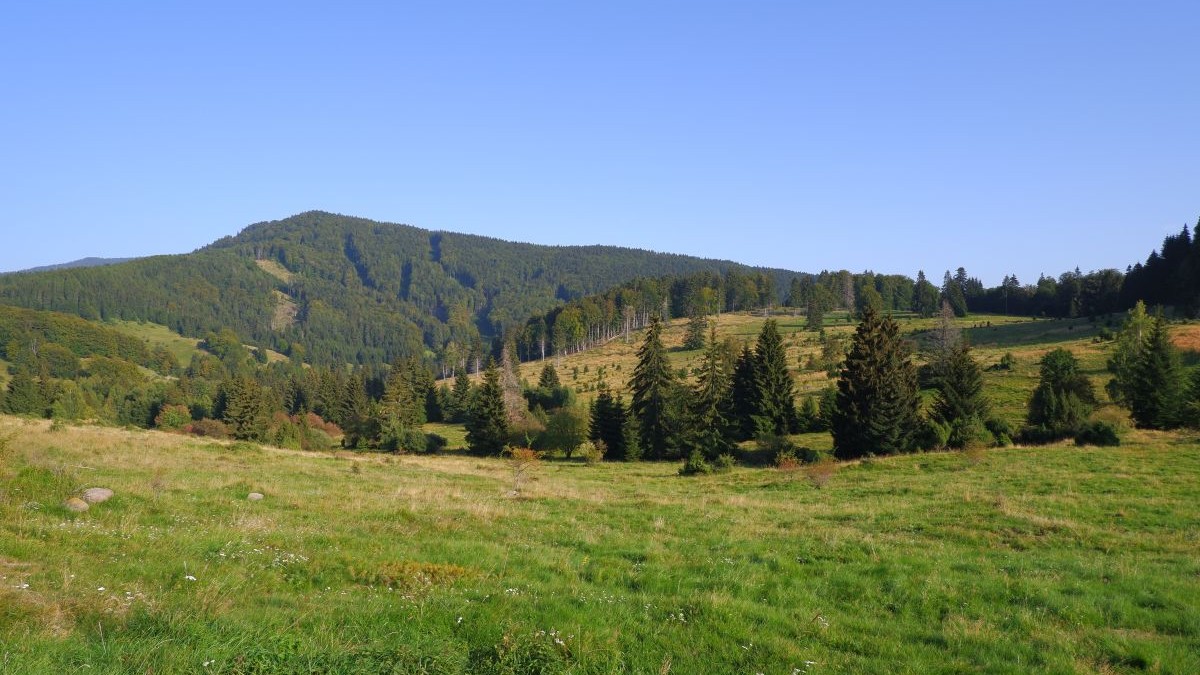 Pohľad na prírodu v Chránenej krajinnej oblasti Poľana.
