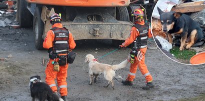 Rozdzierający serce widok w miejscu tragedii w Ustroniu. Mały Benio pokazał, gdzie leży jego pani. Czekał do końca