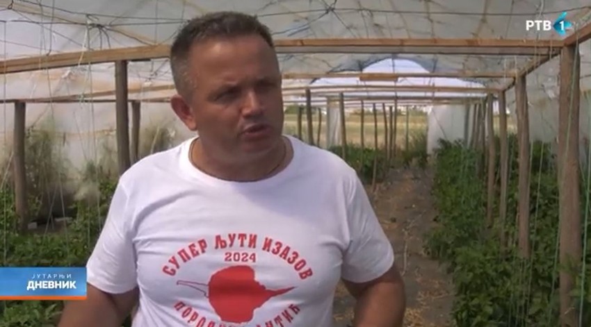 Živojin Antić, organizator takmičenja