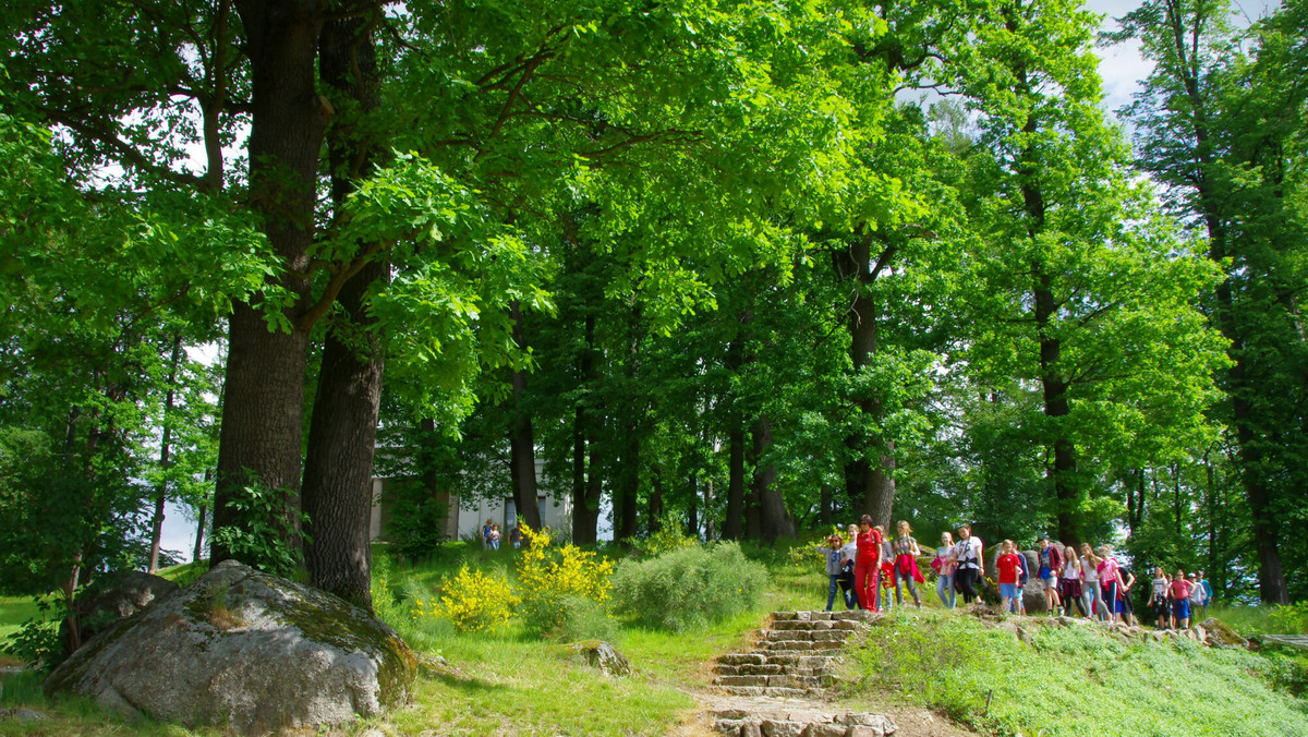 Ile kosztuje zielona szkoła