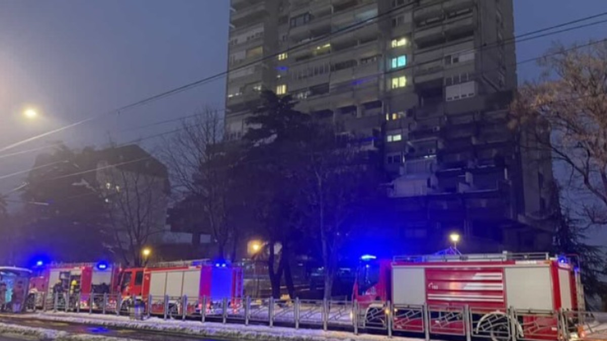 Požar u Vojvode Stepe