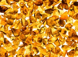 Bursztynowy skarb tuż za polską granicą. W Kaliningradzie...