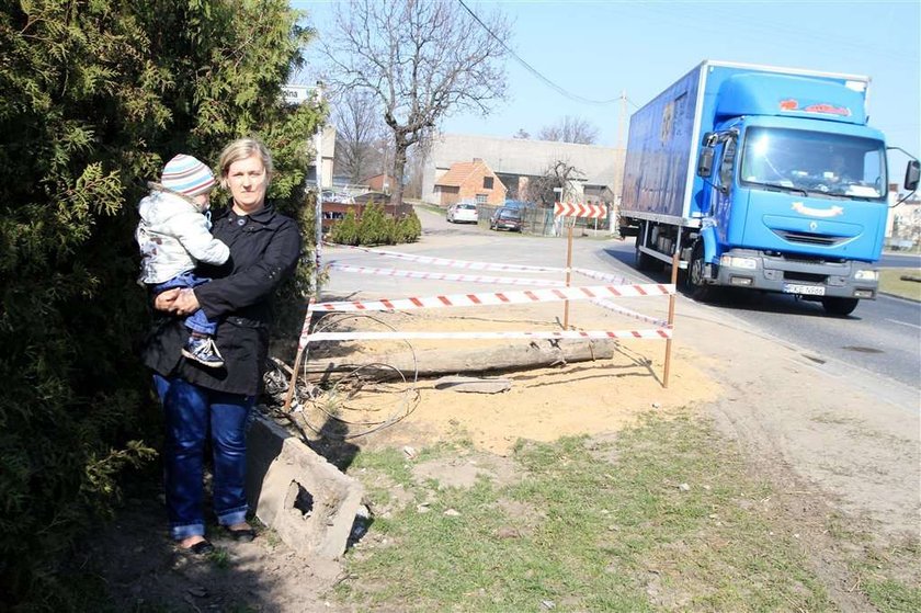 Cud! Na dziecko spadł tir ze świniami i... przeżyło!