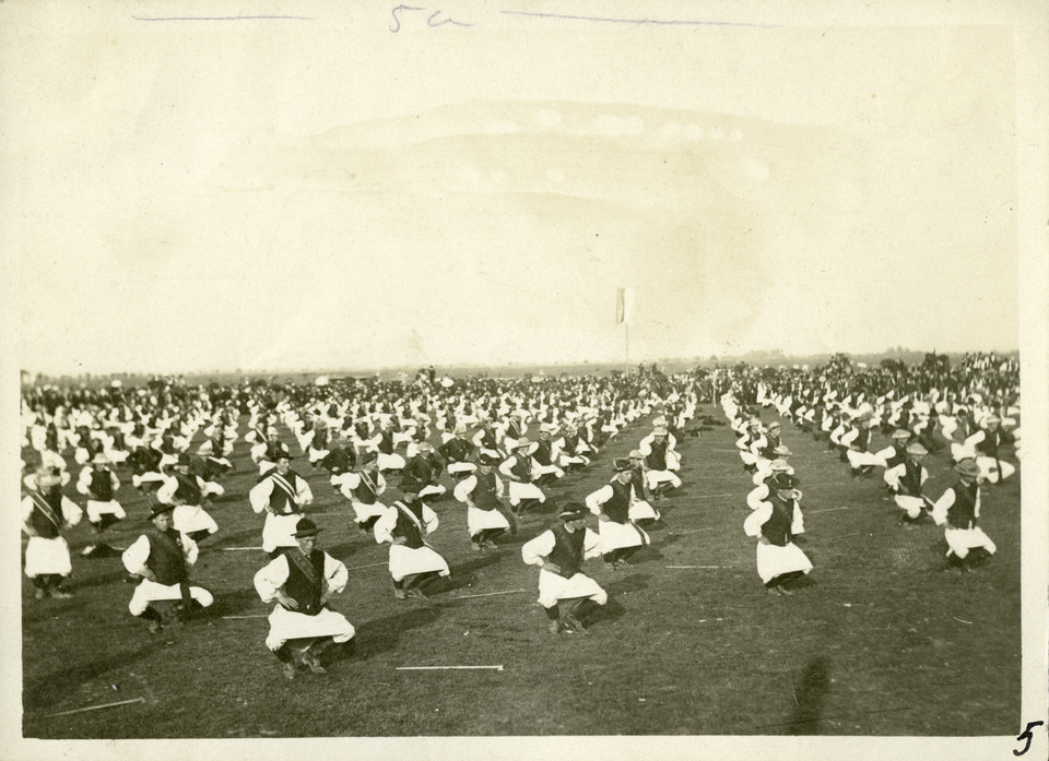 Siczowe święto w Stanisławowie, 1908