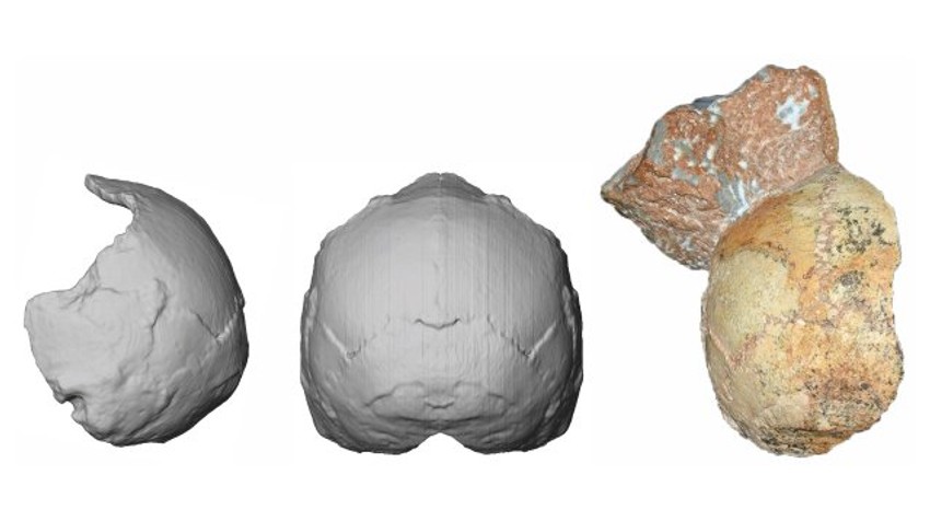 Rekonstrukcija potiljka: Lobanja pripada savremenom čoveku koji je verovatno živeo pre 210.000 godina