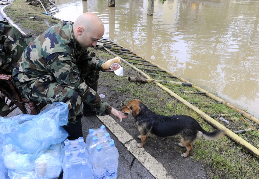 Kod hotela Obrenovac vojnik priprema vodu i hranu za ugrožene, a usput je našao vremena i da nahrani psa.