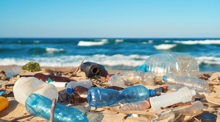 Közel duplájára növelheti idén az Adidas az óceáni hulladékokból származó termékek számát /Fotó: Shutterstock