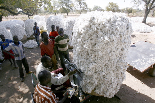 BURKINA-ECONOMY-POVERTY-COTON