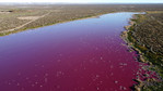 Argentyna: laguna Corfo zmieniła kolor na jasnoróżowy