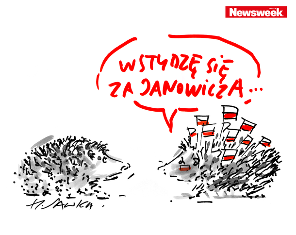 sawka jerzy janowicz