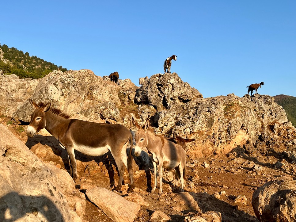 Az albán hegyek között a természet és az egyszerű élet ritmusa határozza meg a mindennapokat