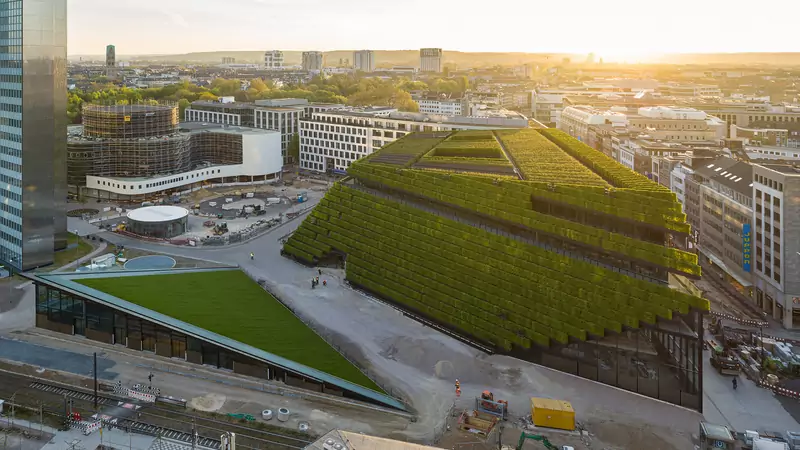 Biurowiec Kö-Bogen II porasta 30 tys. roślin. To największa zielona fasada w Europie
