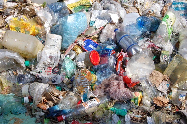 Foliowe torby zagrażają naturze