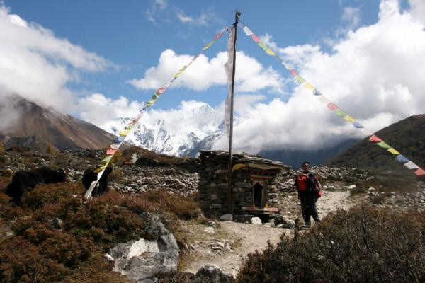 Galeria Nepal - trekking w Langtangu, obrazek 11