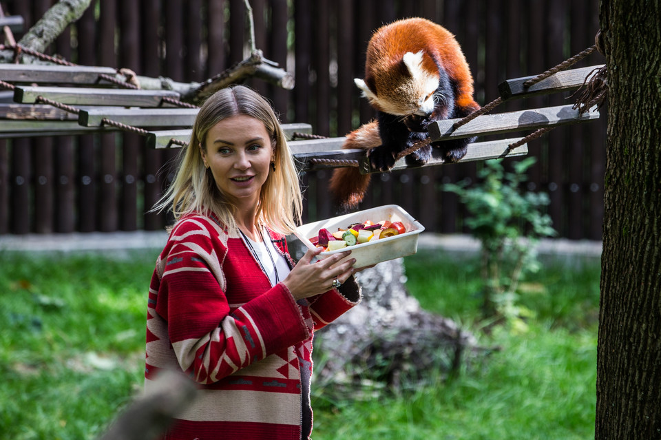 Agnieszka Woźniak-Starak w poznańskim ZOO