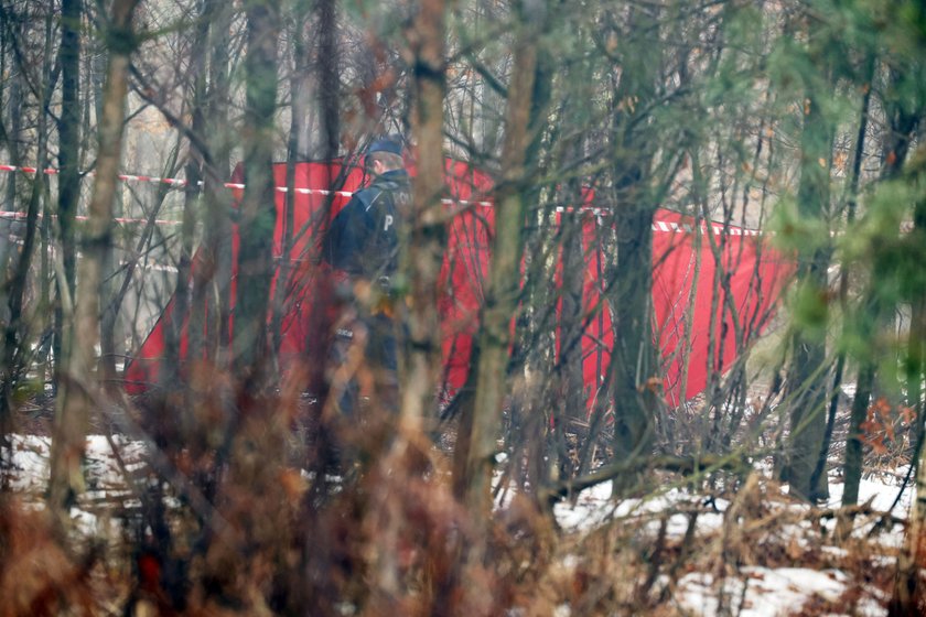 "Silnik furczał prawie jak traktor". Wstrząsające słowa o tragedii pod Pszczyną