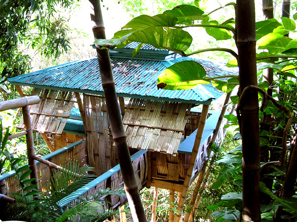 Tropical Treehouse, Portoryko