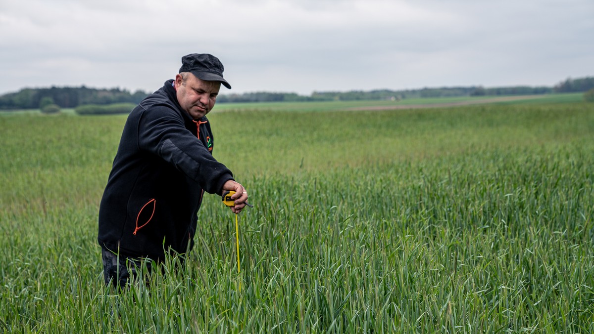 #Wysychamy. Susza w Polsce. Rolnicy: podpisaliśmy na siebie wyrok