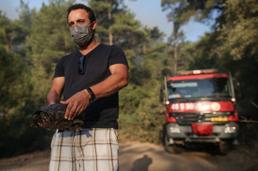 Požari u Turskoj - Mugla