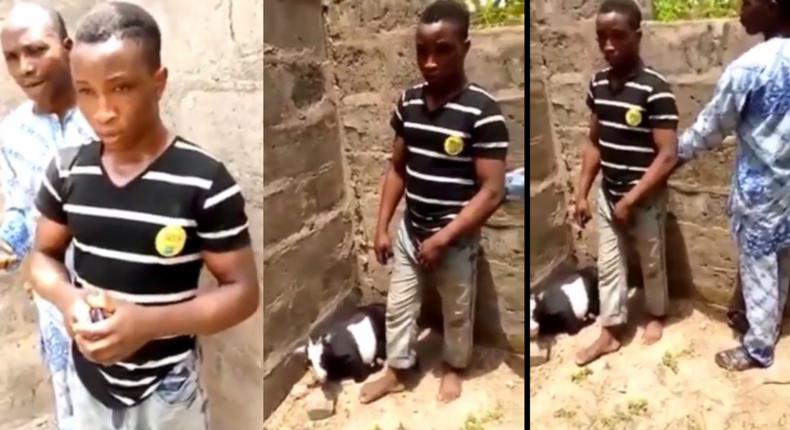 Handsome young man caught raping a goat explains why it’s his habit (video)