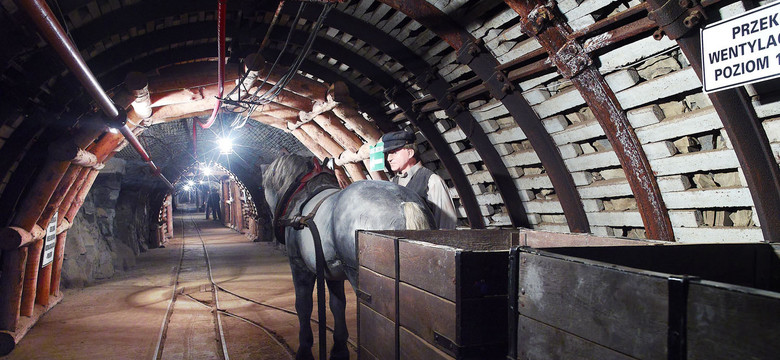 Zabrzańskie muzeum górnicze planuje nową podziemną trasę turystyczną