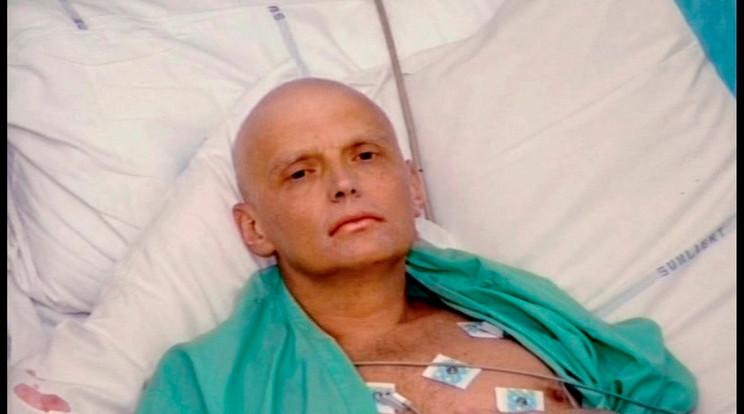 Három hétig szenvedett Litvinyenkó, mire végül végzett vele a sugárzó anyag/Fotó-Profimedia-Reddot