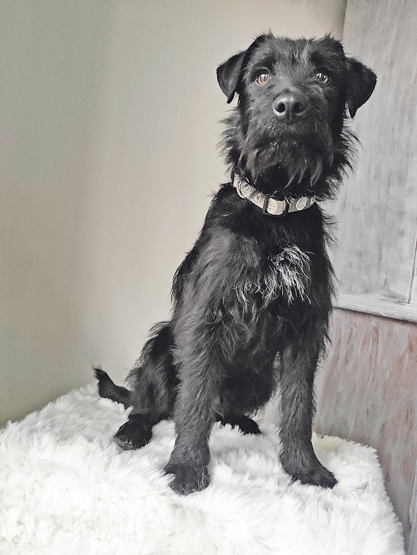 Prvo su morali da razbiju led kako bi uopšte kanuom ušli u vodu