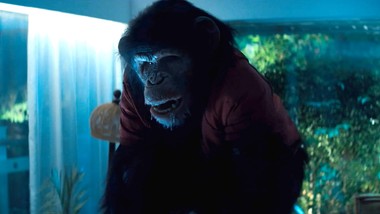 szympans primate nowy horror kiedy gdzie oglądać