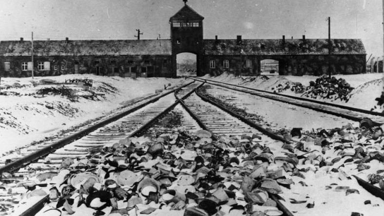 W styczniu 1945 r. hitlerowcy na wieść o zbliżającej się armii radzieckiej zaczęli zacierać ślady swojej zbrodni i ewakuowali więźniów Oświęcimia. Tysiące schorowanych i wygłodniałych ludzi pognano w marszu śmierci na zachód. Wiadomość o klęsce Niemców rodzi bunt. Trzem więźniarkom udaje się uciec. Po latach Oświęcimia muszą znaleźć siłę do walki o swą wolność, o swoje życie.