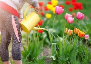 Zalivanje