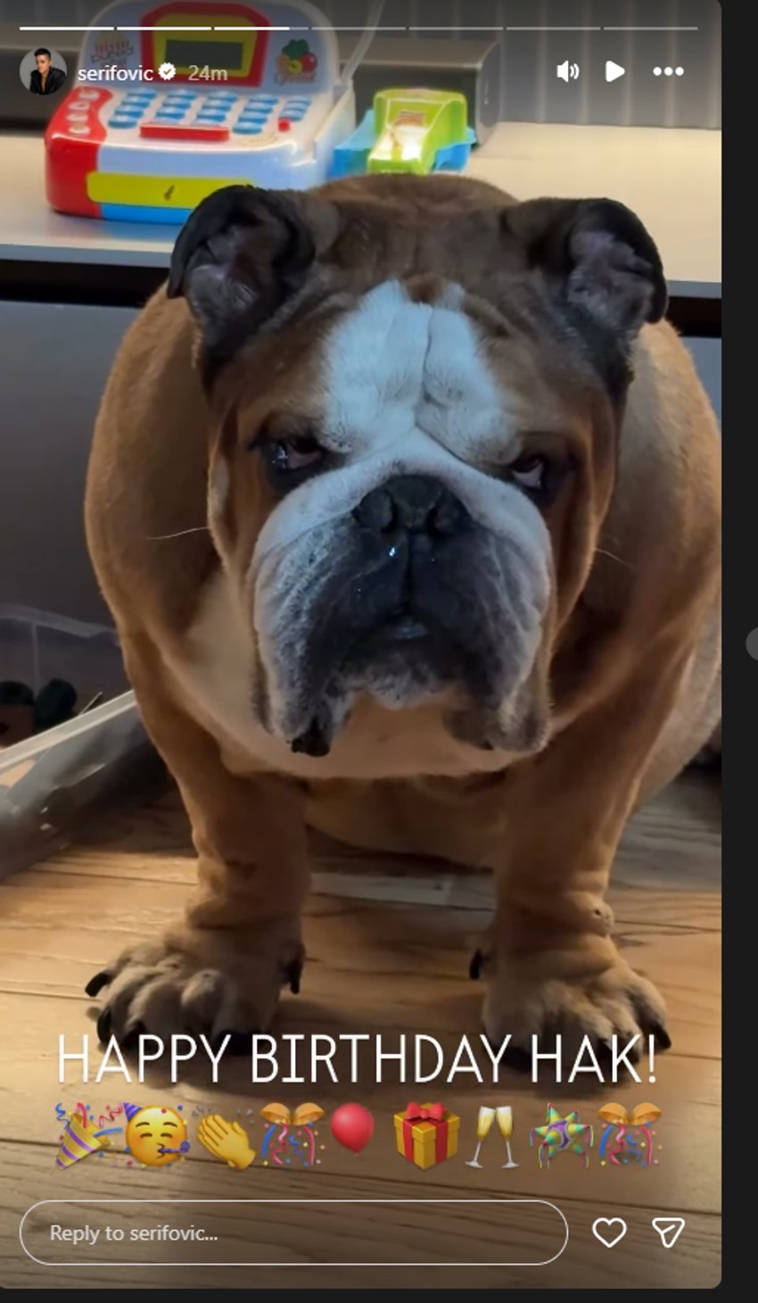 Marija i Mario Šerifović slave rođendan psu