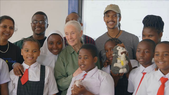 Elképesztően izgalmasnak ígérkezik a Jane Goodallról szóló dokumentumfilm