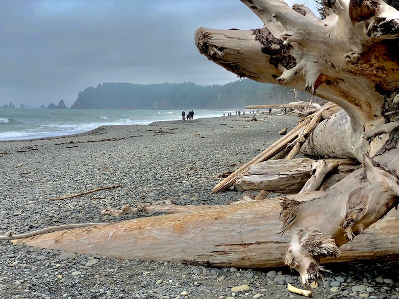 Na plaży Rialto Beach, Park Narodowy Olympic