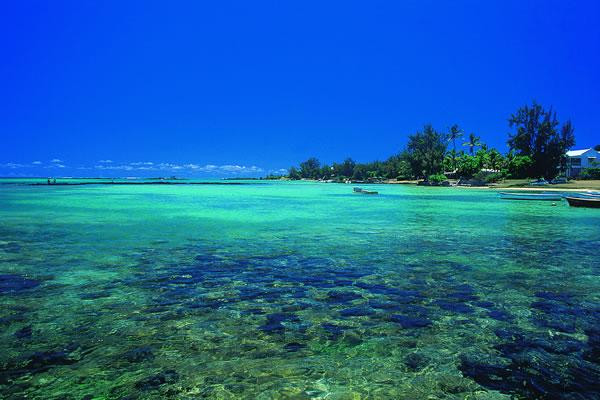 Galeria Mauritius - zaginiona kraina dodo, obrazek 17