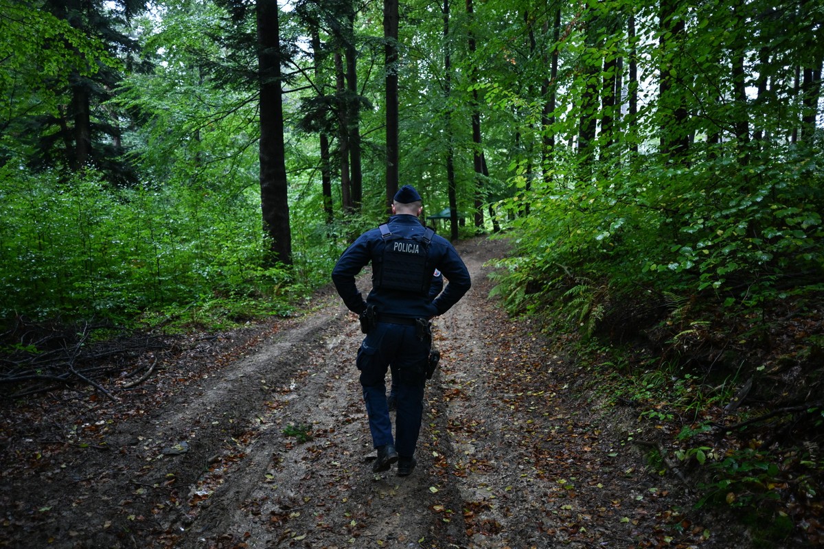 Policjant w mundurze idzie leśną drogą podczas poszukiwań, otoczony gęstymi, zielonymi drzewami po deszczu.